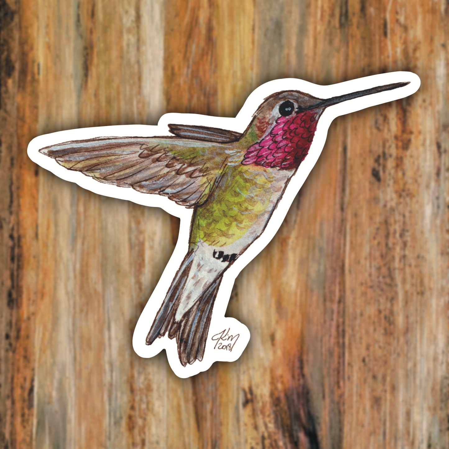 Annas_Hummingbird_.png
