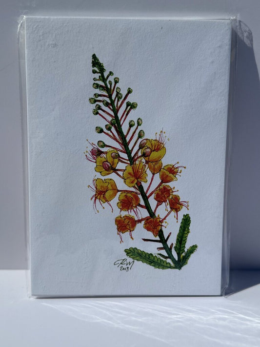 Mexican Bird of Paradise Watercolor Flower Print