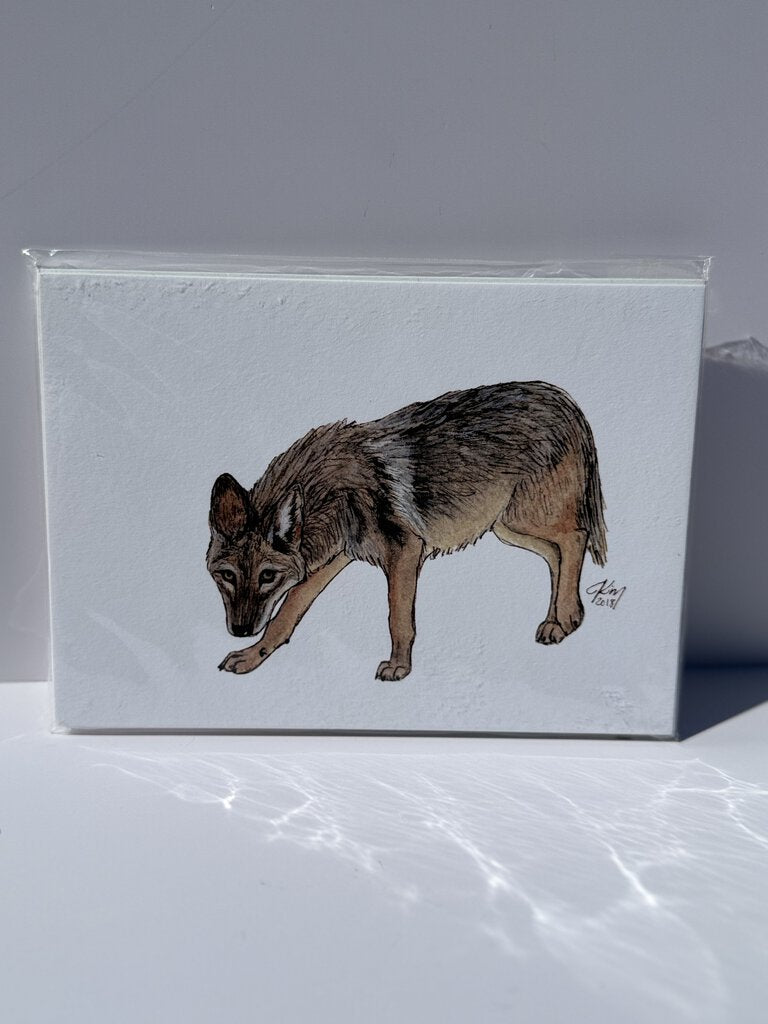 Arizona Coyote Watercolor Print