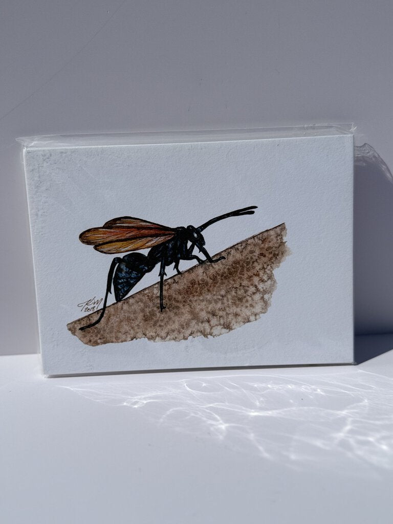 Tarantula Hawk Wasp Watercolor Print