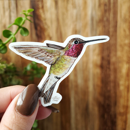 AnnasHummingbirdProductPhoto.png
