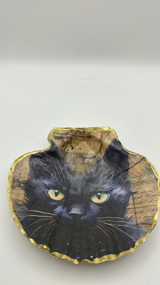 Cat shell.jpg