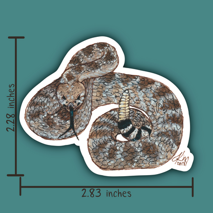 Diamondback_Rattlesnake_ 3.png