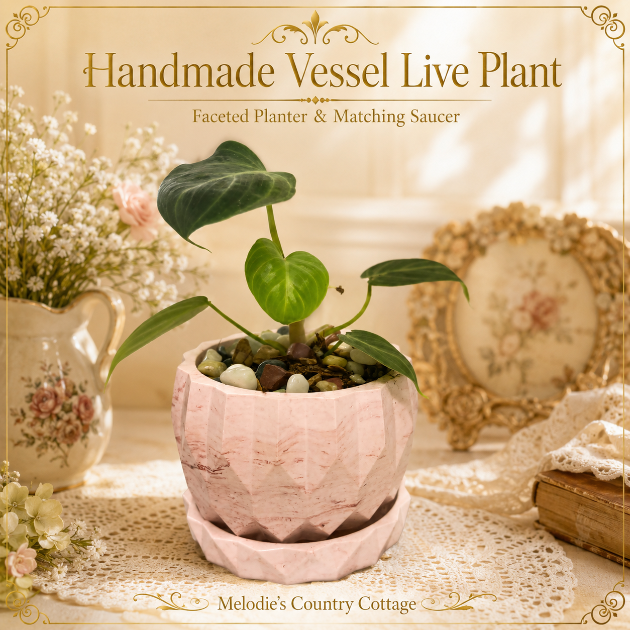 Handmade Vessel Live Plant.png