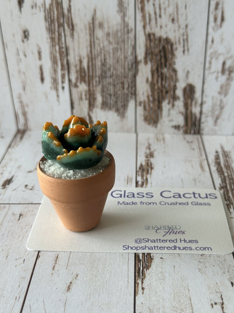 Glass Potted Cactus