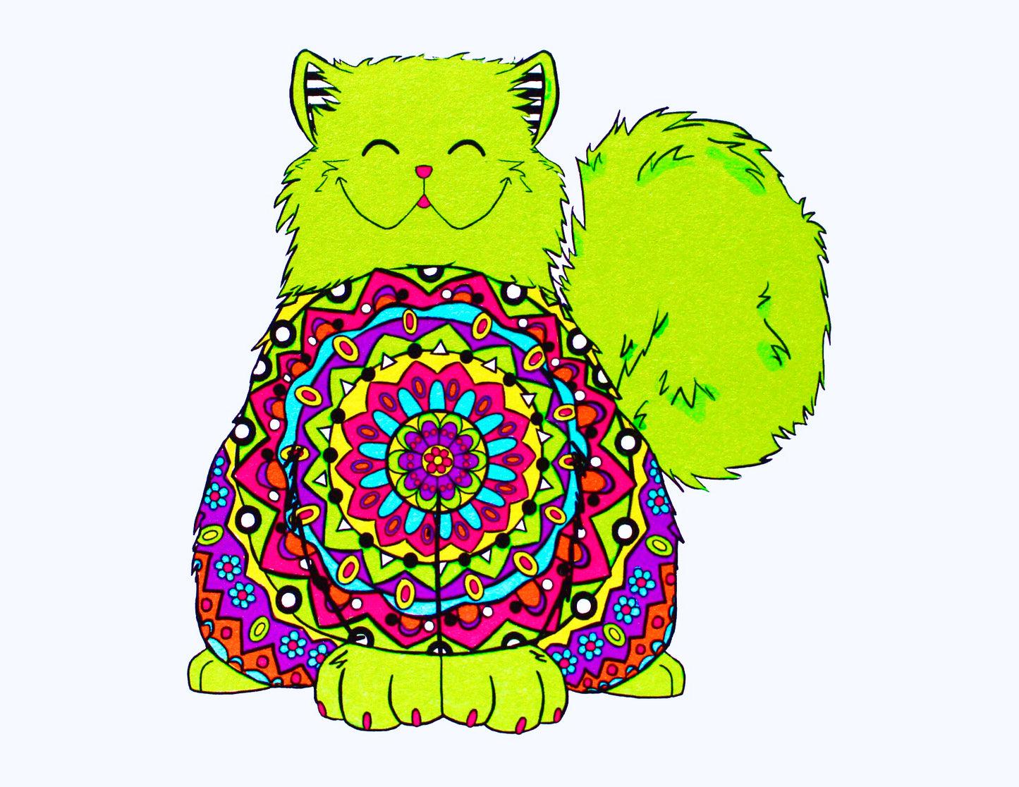 Kaleidoscope Kitty front photo final.jpg