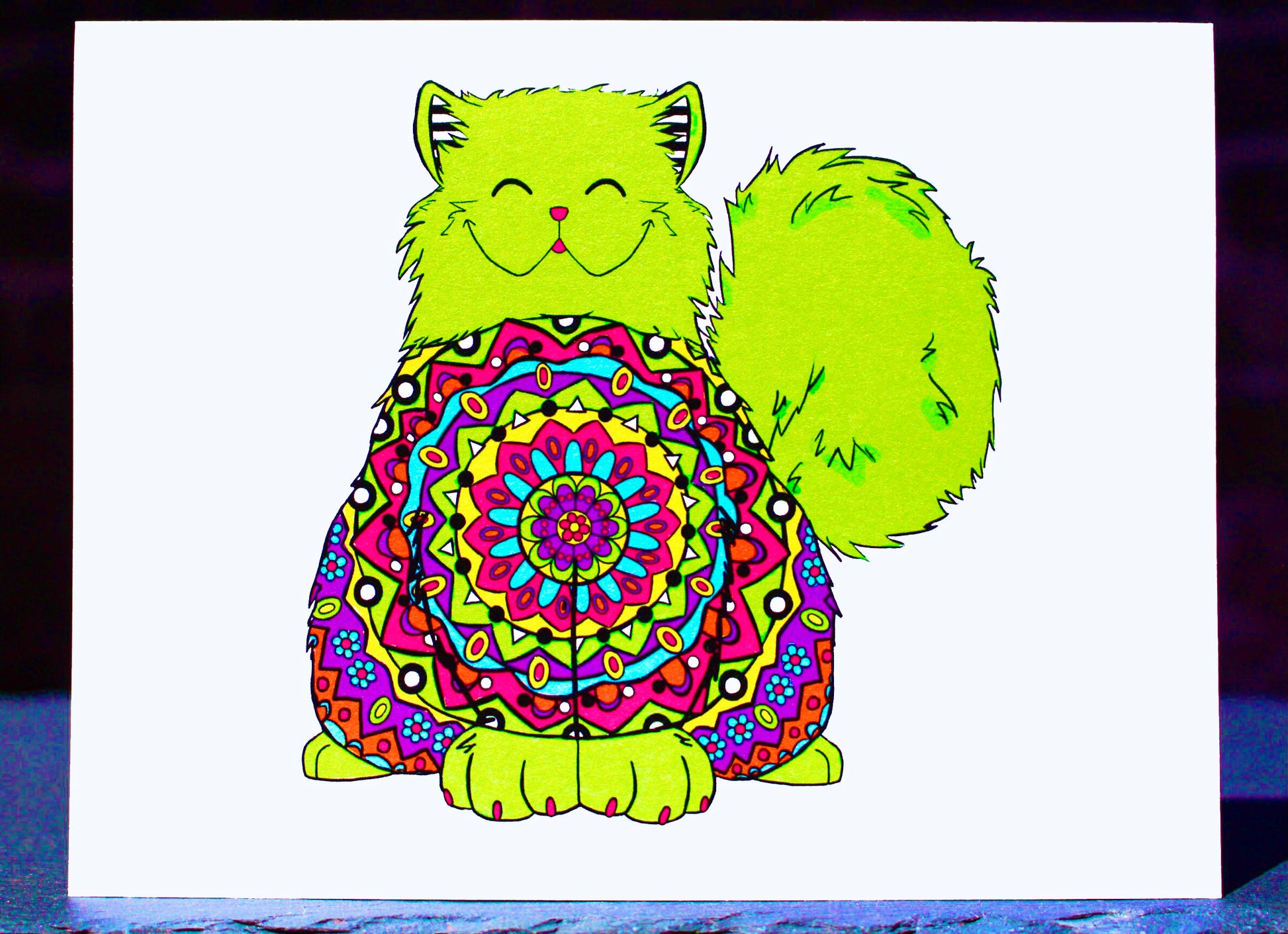 Kaleidoscope Kitty full photo final.jpeg