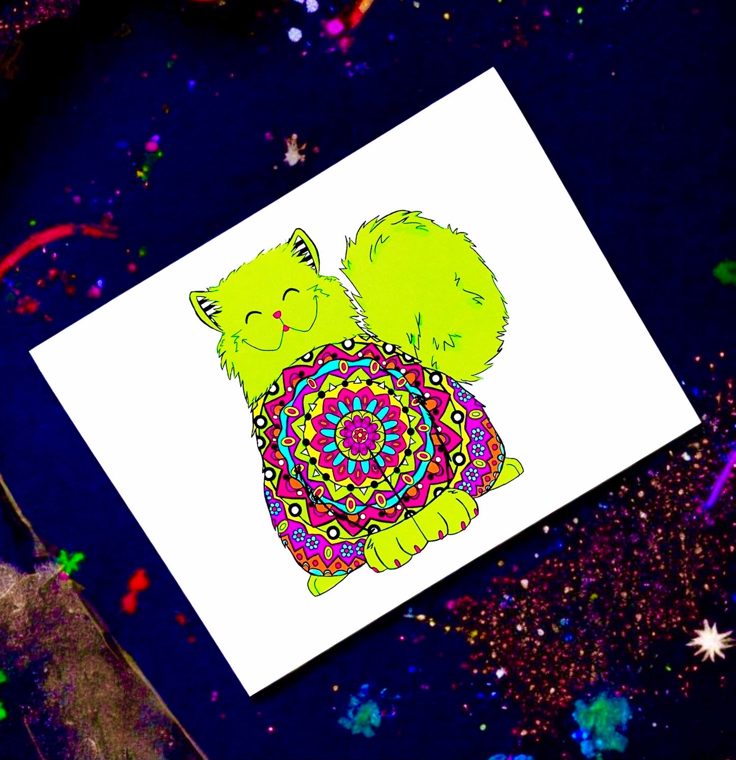 Kaleidoscope Kitty website photo final cropped.jpeg