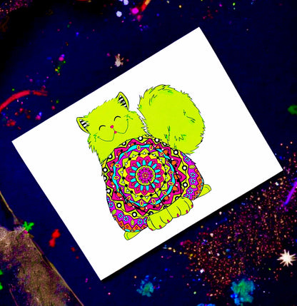 Kaleidoscope Kitty website photo final cropped.jpeg