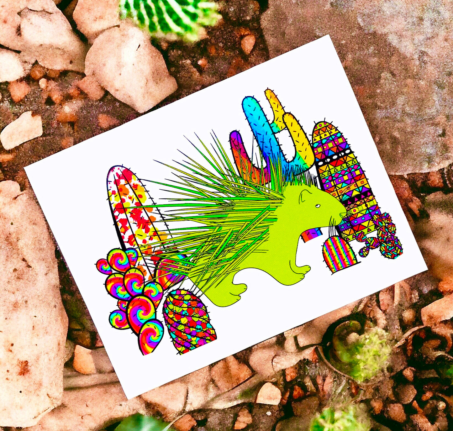 Porcucactus website photo final cropped.jpg
