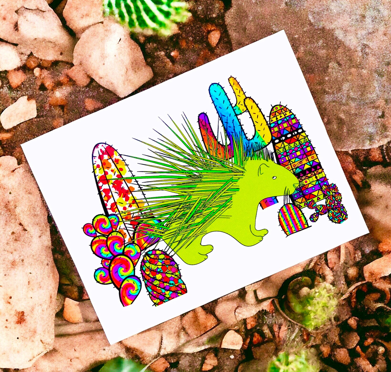 Porcucactus website photo final cropped.jpg