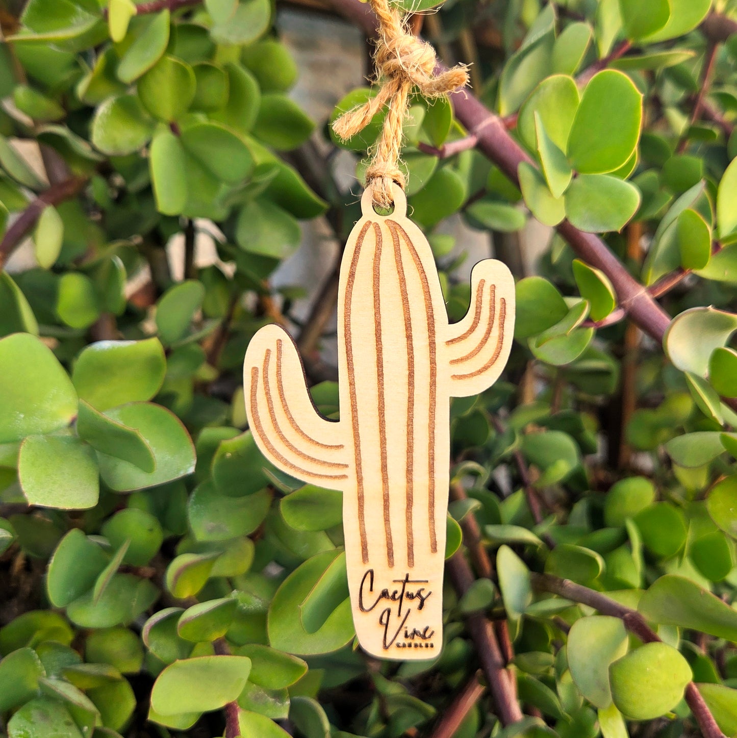 Resuable_Cactus_Air_Freshener.jpg