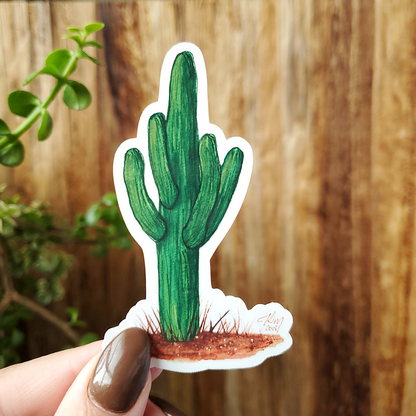 SaguaroProductPhoto.png