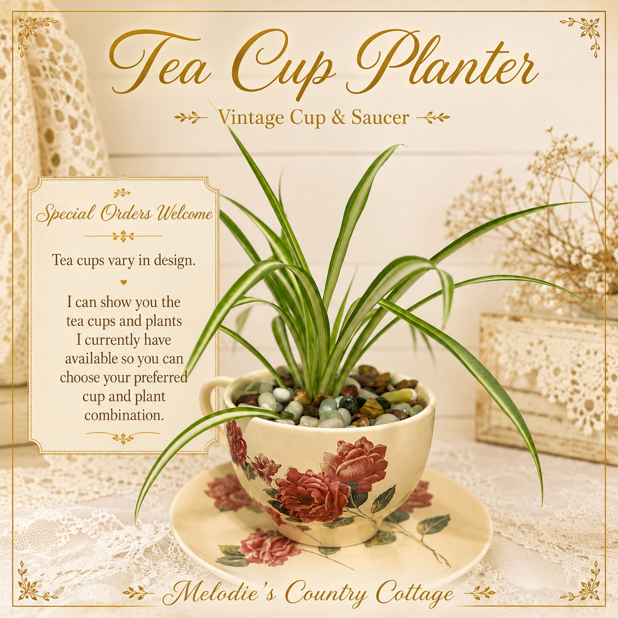 Tea Cup Planted.png