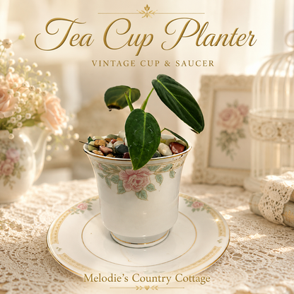 Tea Cup Planted 2.png